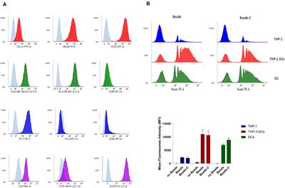 CR4 Signaling Contributes to a DC-Driven Enhanced Immune Response Against Complement-Opsonized HIV-1